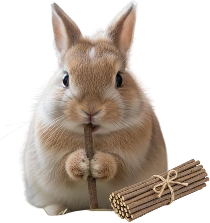 CZ Grain Natural Willow Chew Sticks for Rabbits, Guinea Pigs, Chinchillas & Hamsters – 100% Natural Bunny Chew Toys, Safe Willow Sticks for Teeth Grinding, Small Animal Molar Treats (25)