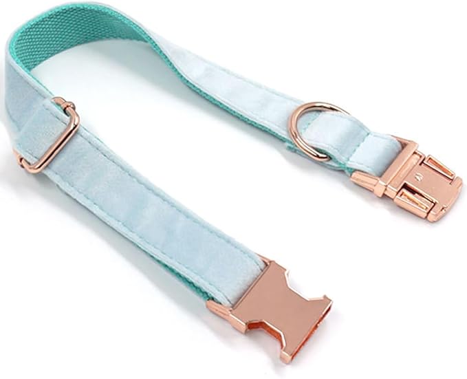 PETDURO Custom Dog Collar Personalized with Name Engraved Quick Release Rose Gold Metal Buckle for Large Medium Small Girl Dogs - Dog Leash and Bow Tie Available - Soft Comfy Velvet (Mint Blue, M)