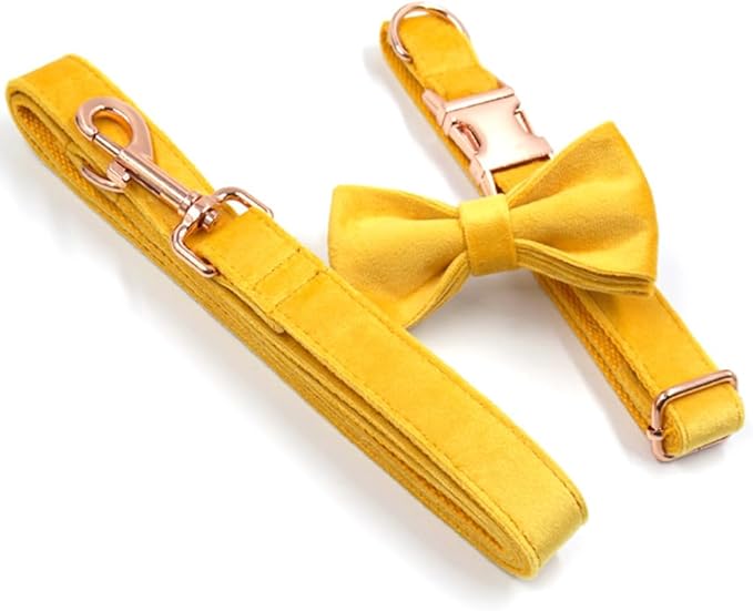PETDURO Personalized Dog Collar Ginger Soft Velvet for Large Medium Small Boy Girl Dogs - Custom Collar with Name Phone Number Engraved on Rose Gold Metal Buckle - Add Leash Bow Set via Customize Now