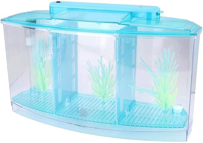 Fish , Desktop Transparent Breeding Fish , Mini Acrylic for Small Fishes with LED Light with Water Change Valve for Betta(Blue)