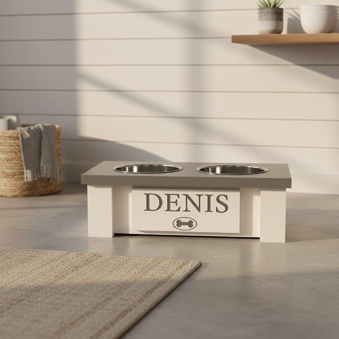GTW Personalized Elevated Dog Bowl Stand for Large, Medium, Small, X-Small Dogs - Stainless Steel Food and Water Bowls - Raised Dog Dish with Internal Storage (X-Small, Grey)