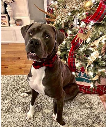 Unique style paws Cotton Dog Collar with Bow Puppy Collar with Black Red Plaid for Small Medium Large Boys Girls Dogs