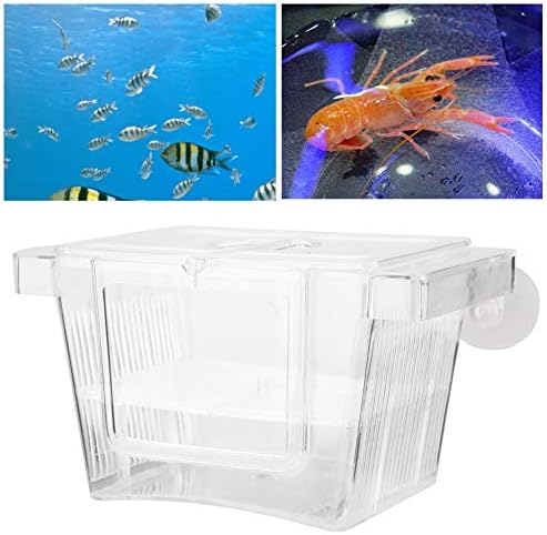 Split Fish Betta 5 Gallon Fish 14 X 8 X 8 Acrylic Aquarium Fish Breeding Box Incubation Box Small Size