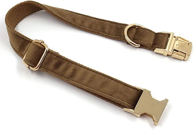 PETDURO Custom Dog Collar Personalized with Name Engraved Quick Release Gold Metal Buckle for Large Medium Small Girl Dogs - Dog Leash and Bow Tie Available - Soft Comfy Velvet (Brown G, M)