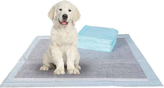 BV Charcoal Puppy Pads XL 320 Count 28"x34" - Leak-Proof Pee Pads for Dogs with 6-Layer Absorbent Design & Built-in Attractant - Dog Pad Extra Large with Charcoal for Odor Control - for Large Dogs