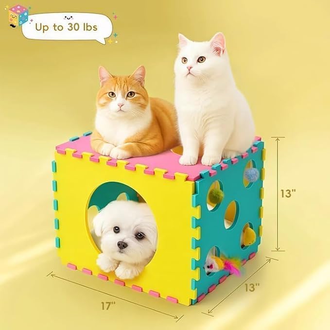 41 Pcs Interactive Cat Toys for Indoor Cats, Kitten Toys with Cute Cat House Bed, Catnip Toys, Chew Rope, Feather Wand, Springs and Balls for Indoor Kittens