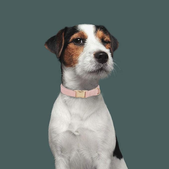 Soft Corduroy Dog Collar and Leash Set Adjustable Durable Dog Collars with Metal Buckle and Lead for Female Medium Dogs,Baby Pink