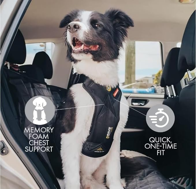 EzyDog Drive Dog Car Harness – Crash Tested and Certified (US-FMVSS 213) Dog Seat Belt Harness for Safe Travel, Adjustable with Padded Comfort (Small)