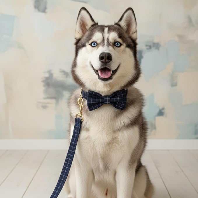 PETDURO Personalized Windowpane Plaid Dog Collar Blue - Engraved Name and Phone Number on Gold Metal Buckle - Custom for Small Medium Large Boy Girl Dogs - Add Leash Bow Tie via Customize Now