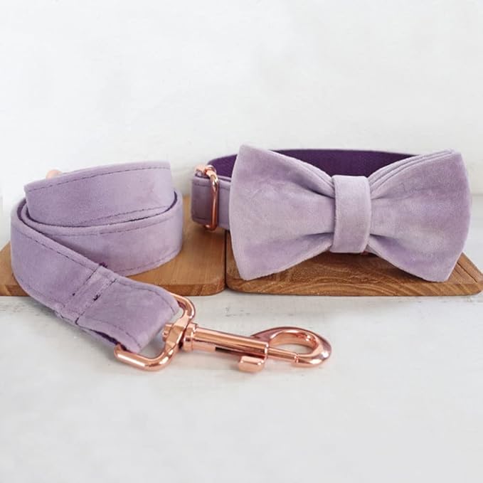 PETDURO Personalized Dog Collar Lavender Soft Velvet for Large Medium Small Boy Girl Dogs - Custom Collar with Name Phone Engraved on Rose Gold Metal Buckle - Add Leash Bow Set via Customize Now