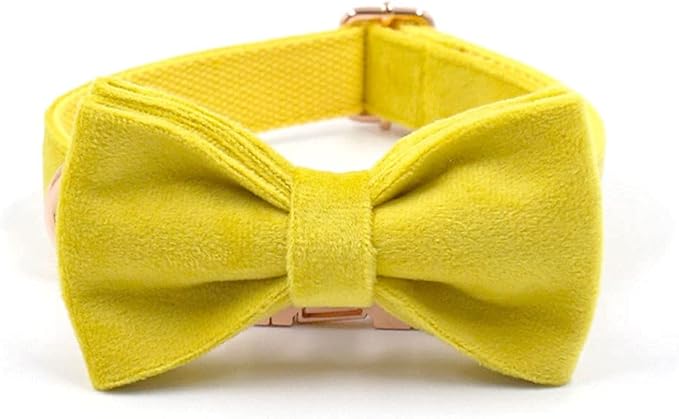 PETDURO Custom Dog Collar Personalized with Name Engraved Quick Release Rose Gold Metal Buckle for Large Medium Small Girl Dogs - Dog Leash and Bow Tie Available - Soft Comfy Velvet (Yellow, XS)