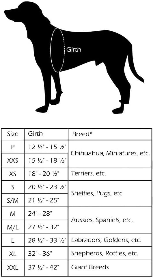 ComfortFlex Sport Dog Harness – No-Choke, Fully Padded, Non-Chafing Harness with Control Handle – Reflective, Lightweight, Adjustable for Active Dogs - XXSmall, Purple