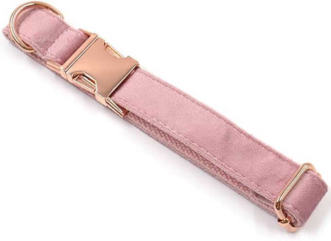 PETDURO Custom Dog Collar Personalized with Name Engraved Rose Gold Metal Buckle for Large Medium Small Girl Dogs - Dog Leash and Bow Tie Available - Soft Comfy Velvet (Champagne Pink RG, M)