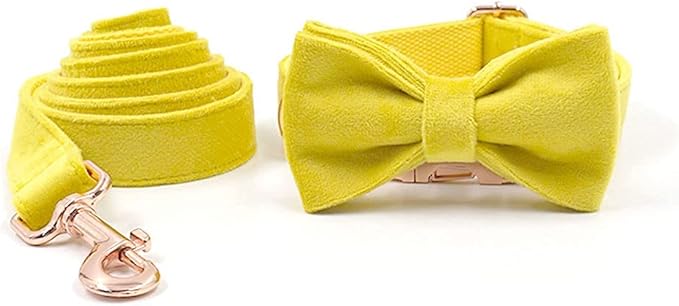 PETDURO Custom Dog Collar Personalized with Name Engraved Quick Release Rose Gold Metal Buckle for Large Medium Small Girl Dogs - Dog Leash and Bow Tie Available - Soft Comfy Velvet (Yellow, M)