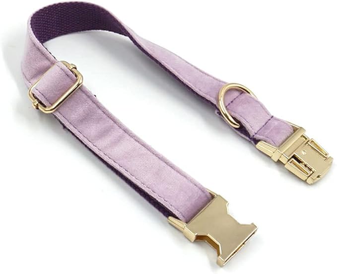 PETDURO Personalized Dog Collar Lavender Soft Velvet for Large Medium Small Boy Girl Dogs - Custom Collar with Name Phone Number Engraved on Gold Metal Buckle - Add Leash Bow Set via Customize Now