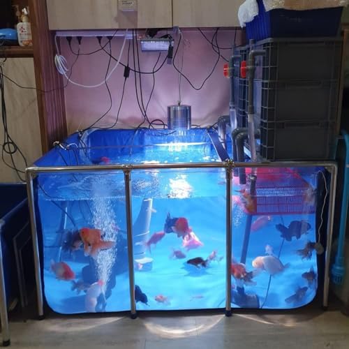 Durable PVC Fish Breeding Tank with Steel Frame - Clear View, Easy Assembly, Ideal for Aquatic Pets, Backyard Pool Pond, 50x40x30cm