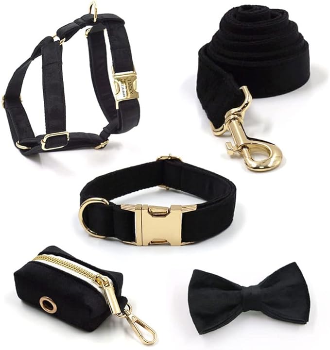 PETDURO Custom Dog Collar Personalized with Name Engraved Quick Release Rose Gold Metal Buckle for Large Medium Small Girl Dogs - Dog Leash and Bow Tie Available - Soft Comfy Velvet (Black G, L)