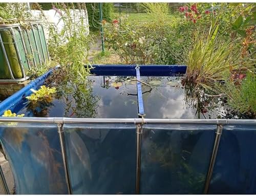 Transparent Viewing Aquarium Pool Pond - Durable PVC Canvas, Steel Frame, Drain Valve - Perfect Outdoor Fish Breeding Tank for Pools and Gardens