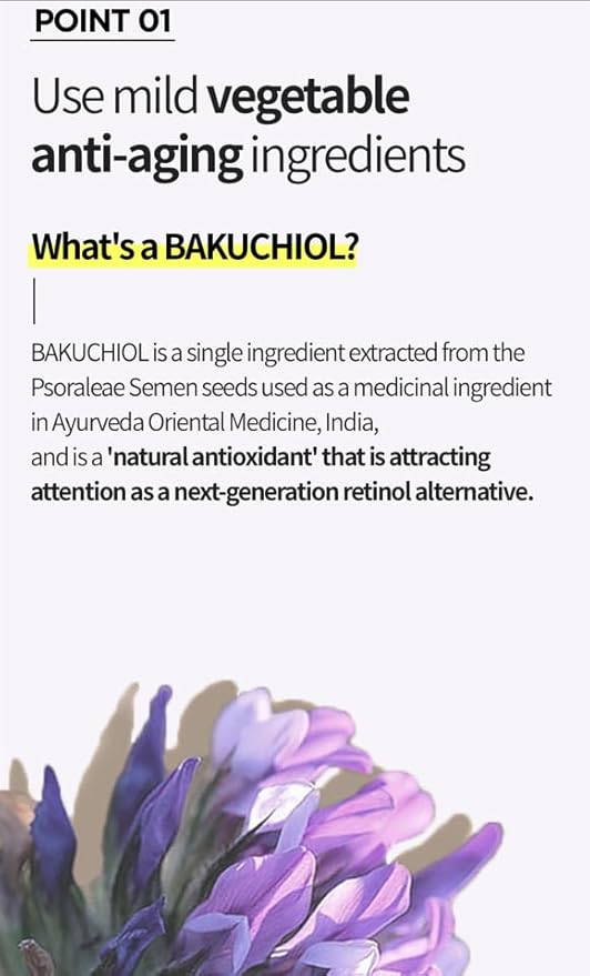 CHARMZONE Bakuchiol WaterWrap Tension Cream – Korean Skincare Retinol Alternative with 99% Bakuchiol, Pore Refining, 8-Layer Hyaluronic Acid for Firming, Anti-Aging, Hydration (1.69 fl. oz / 50 ml)