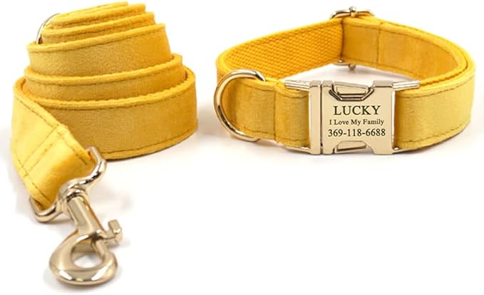 PETDURO Personalized Dog Collar Ginger Soft Velvet for Large Medium Small Boy Girl Dogs - Custom Collar with Name Phone Number Engraved on Gold Metal Buckle - Add Leash Bow Set via Customize Now