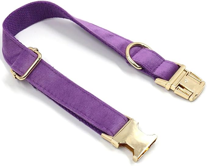 PETDURO Personalized Dog Collar Purple Soft Velvet for Large Medium Small Girl Dogs - Custom Collar with Name Phone Number Engraved on Gold Metal Buckle - Add Matching Leash Bow Set via Customize Now