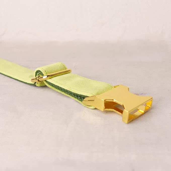 PETDURO Custom Dog Collar Personalized with Name Engraved Quick Release Rose Gold Metal Buckle for Large Medium Small Girl Dogs - Dog Leash and Bow Tie Available - Soft Comfy Velvet (Mint Green, XS)