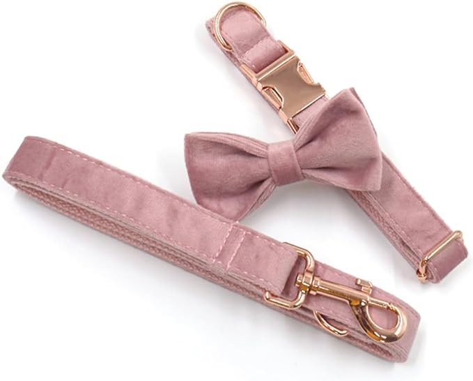 PETDURO Custom Dog Collar Personalized with Name Engraved Rose Gold Metal Buckle for Large Medium Small Girl Dogs - Dog Leash and Bow Tie Available - Soft Comfy Velvet (Champagne Pink RG, S)