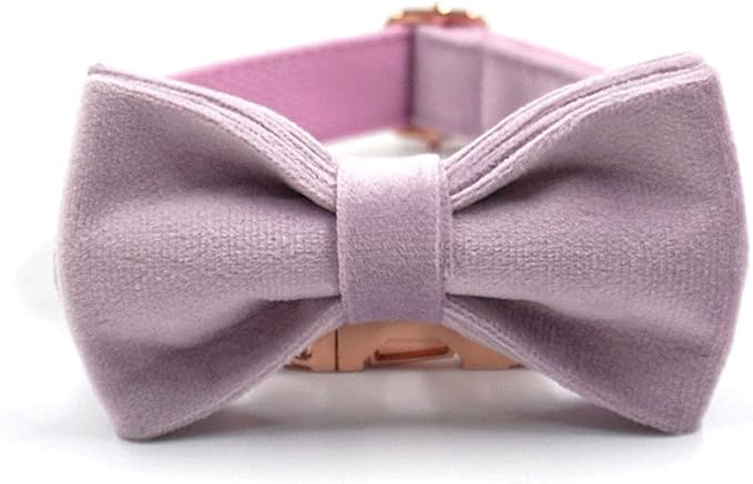 PETDURO Custom Dog Collar Personalized with Name Engraved Quick Release Rose Gold Metal Buckle for Large Medium Small Girl Dogs - Dog Leash and Bow Tie Available - Soft Comfy Velvet (Purple, L)