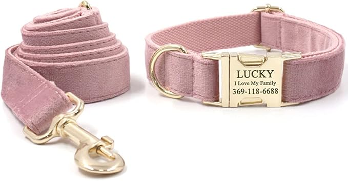 PETDURO Personalized Dog Collar Champagne Pink Soft Velvet for Large Medium Small Girl Dogs - Custom Collar with Name Phone Engraved on Gold Metal Buckle - Add Matching Leash Bow Set via Customize Now