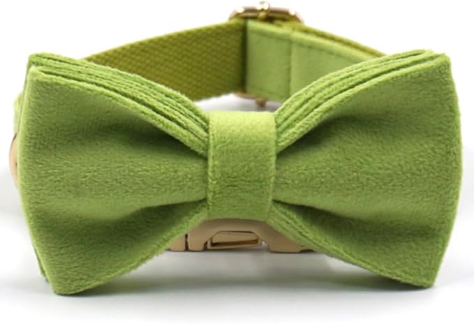 PETDURO Custom Dog Collar Personalized with Name Engraved Quick Release Rose Gold Metal Buckle for Large Medium Small Girl Dogs - Dog Leash and Bow Tie Available - Soft Comfy Velvet (Green, M)