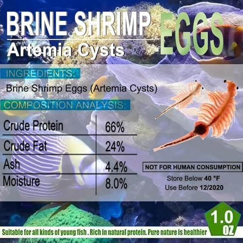 Bubble Magus Brine Shrimp Eggs/sea Monkey Eggs/Live Fish Food/Fairy Shrimp Egg Artemia high Protein Fish Food for brine Shrimp Hatchery 、 Clownfish Food 、 Reef roids Coral Food 、Feeder Guppies、beta