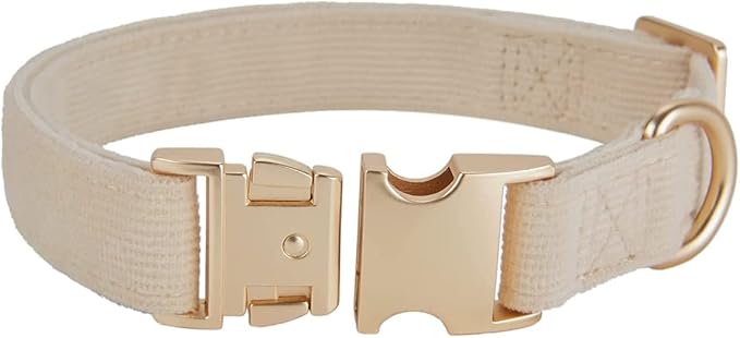 Soft Corduroy Dog Collar and Leash Set Adjustable Durable Wedding Dog Collars with Metal Buckle and Lead for Small Dogs,Beige