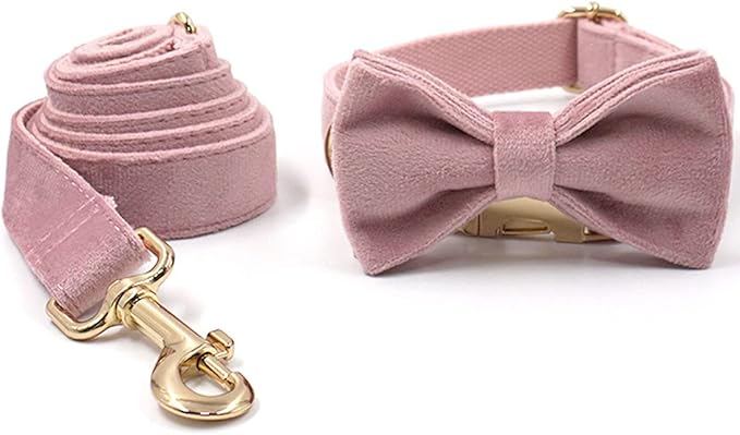 PETDURO Personalized Dog Collar Champagne Pink Soft Velvet for Large Medium Small Girl Dogs - Custom Collar with Name Phone Engraved on Gold Metal Buckle - Add Matching Leash Bow Set via Customize Now