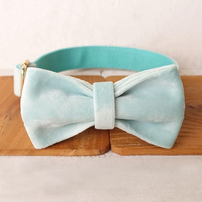PETDURO Personalized Dog Collar Mint Blue Soft Velvet for Large Medium Small Boy Girl Dogs - Custom Collar with Name Phone Number Engraved on Gold Metal Buckle - Add Leash Bow Set via Customize Now