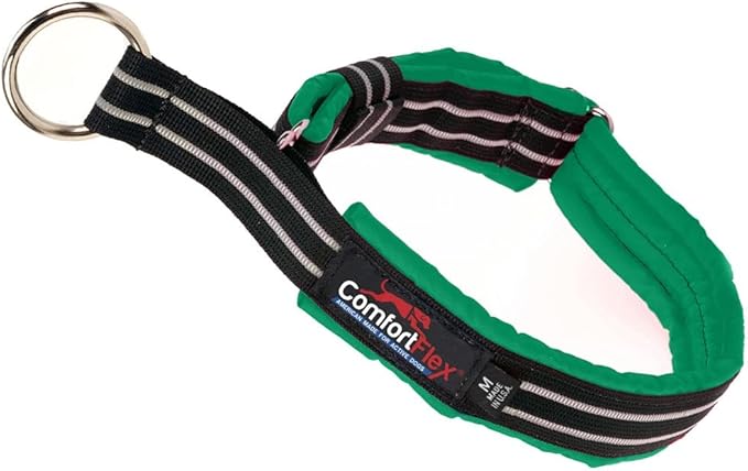ComfortFlex Premium Padded Martingale Dog Collar – Reflective Waterproof Slip-On Limited Slip Collar for Gentle Control & Escape Prevention - Small, Kelly Green