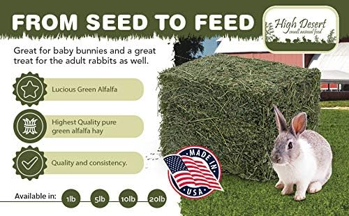 High Desert Alfalfa Hay, Protein Rich Soft Leaf Food for Young Growing Animals, Natural Rabbit Food and Guinea Pig Hay, Supports Digestive Health, Small Pet Supplies, Fresh Hand, Pack of 2, 10 Lb Box