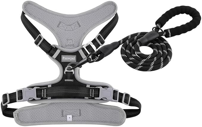 Adjustable Dog Harness - No Pull, Reflective, Soft Padded for Small, Medium, Large Dogs - Includes Leash Black M