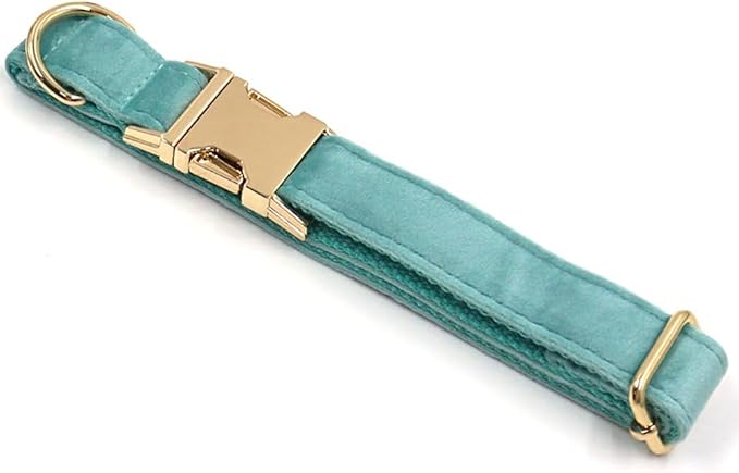 PETDURO Personalized Dog Collar Mint Green Soft Velvet for Large Medium Small Boy Girl Dogs - Custom Collar with Name Phone Number Engraved on Gold Metal Buckle - Add Leash Bow Set via Customize Now