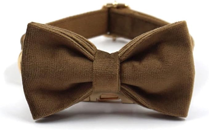 PETDURO Custom Dog Collar Personalized with Name Engraved Quick Release Gold Metal Buckle for Large Medium Small Girl Dogs - Dog Leash and Bow Tie Available - Soft Comfy Velvet (Brown G, S)