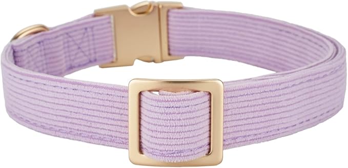 Soft Corduroy Dog Collar and Leash Set Adjustable Durable Dog Collars with Metal Buckle and Lead for Small Dogs,Lilac