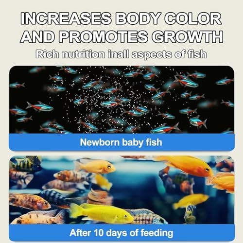 Bubble Magus Brine Shrimp Eggs/sea Monkey Eggs/Live Fish Food/Fairy Shrimp Egg Artemia high Protein Fish Food for brine Shrimp Hatchery 、 Clownfish Food 、 Reef roids Coral Food 、Feeder Guppies、beta