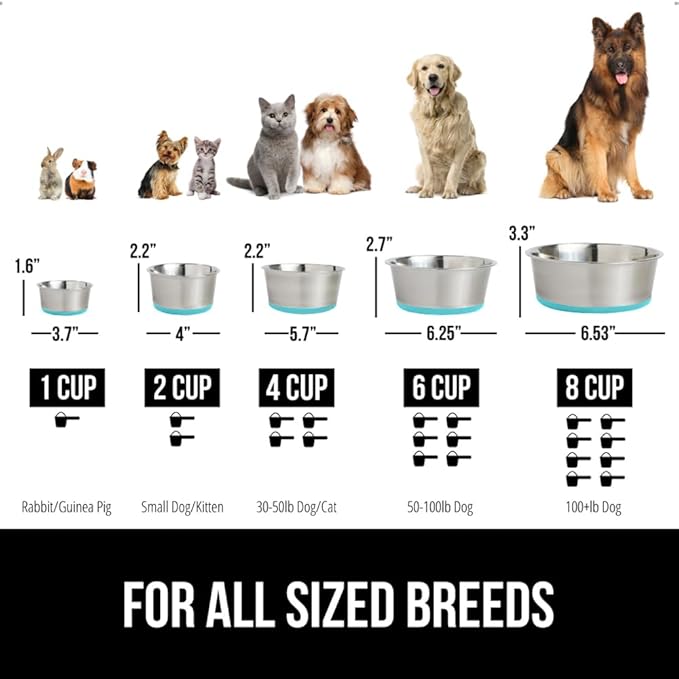 GORILLA GRIP Dog Bowl, Holds 4 Cups (32 fl oz), Heavy Duty Metal Food and Water Bowl for Feeding Dogs and Cats, Dishwasher Safe, Rust Resistant Stainless Steel, BPA Free Rubber Base, Turquoise