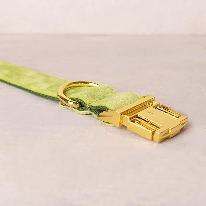 PETDURO Custom Dog Collar Personalized with Name Engraved Quick Release Rose Gold Metal Buckle for Large Medium Small Girl Dogs - Dog Leash and Bow Tie Available - Soft Comfy Velvet (Mint Green, L)