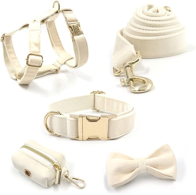 PETDURO Personalized Dog Collar Cream Soft Velvet for Large Medium Small Boy Girl Dogs - Custom Collar with Name Phone Engraved on Gold Metal Buckle - Add Matching Leash Bow Set via Customize Now