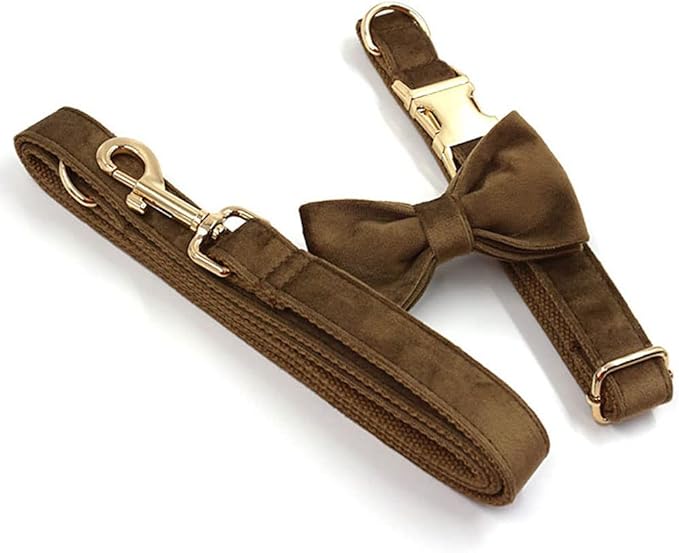 PETDURO Custom Dog Collar Personalized with Name Engraved Quick Release Gold Metal Buckle for Large Medium Small Girl Dogs - Dog Leash and Bow Tie Available - Soft Comfy Velvet (Brown G, S)
