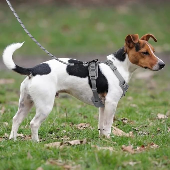 Adjustable Dog Harness - No Pull, Reflective, Soft Padded for Small, Medium, Large Dogs - Includes Leash Silver XL