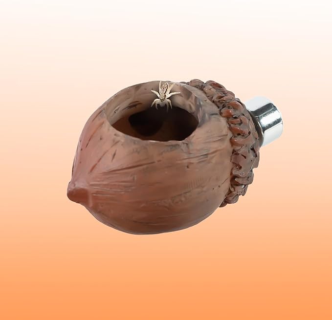Oiibo Jumping Spider Hideout and Feeding Dish, 3 in 1 Nut Shaped Hide Cave Sets for Spider Playing Feeding Climbing, Enclosure Accessories