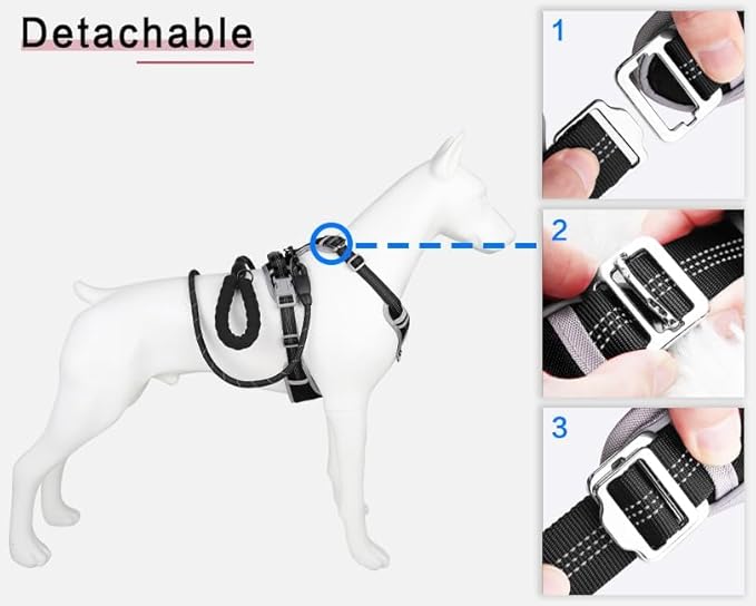 Adjustable Dog Harness - No Pull, Reflective, Soft Padded for Small, Medium, Large Dogs - Includes Leash Black M