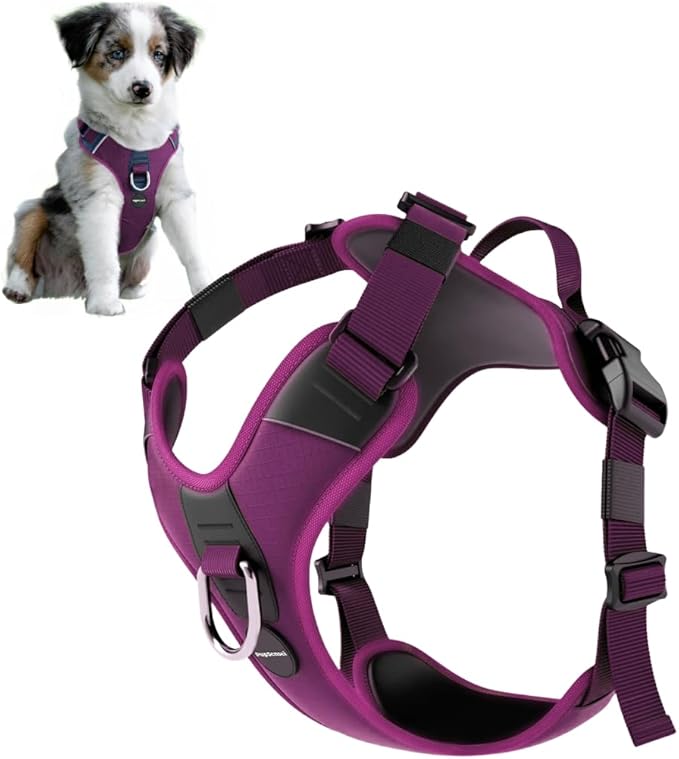 No Pull Dog Harness - Durable Polyester Puppy Harness with Front Anti-Pull Loop, Reflective Strips, and Quick-Release Clips for Small, Medium, and Large Dogs (Berry Purple, Medium)