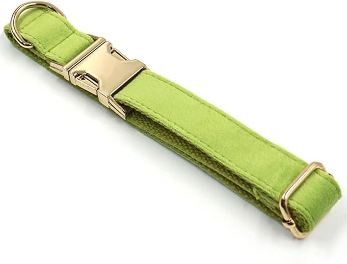 PETDURO Custom Dog Collar Personalized with Name Engraved Quick Release Rose Gold Metal Buckle for Large Medium Small Girl Dogs - Dog Leash and Bow Tie Available - Soft Comfy Velvet (Green, S)